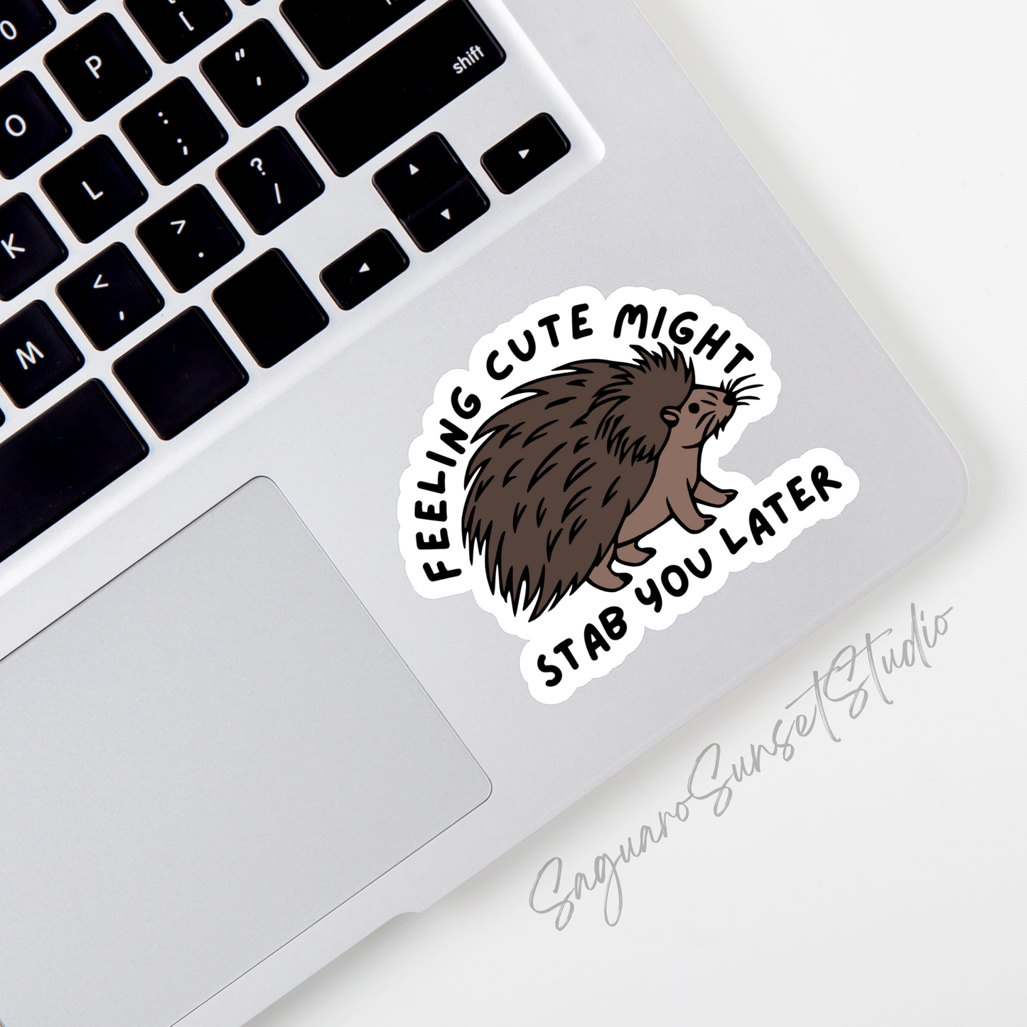 A vinyl sticker featuring the phrase "Feeling Cute Might Stab You Later" with an illustration of a porcupine