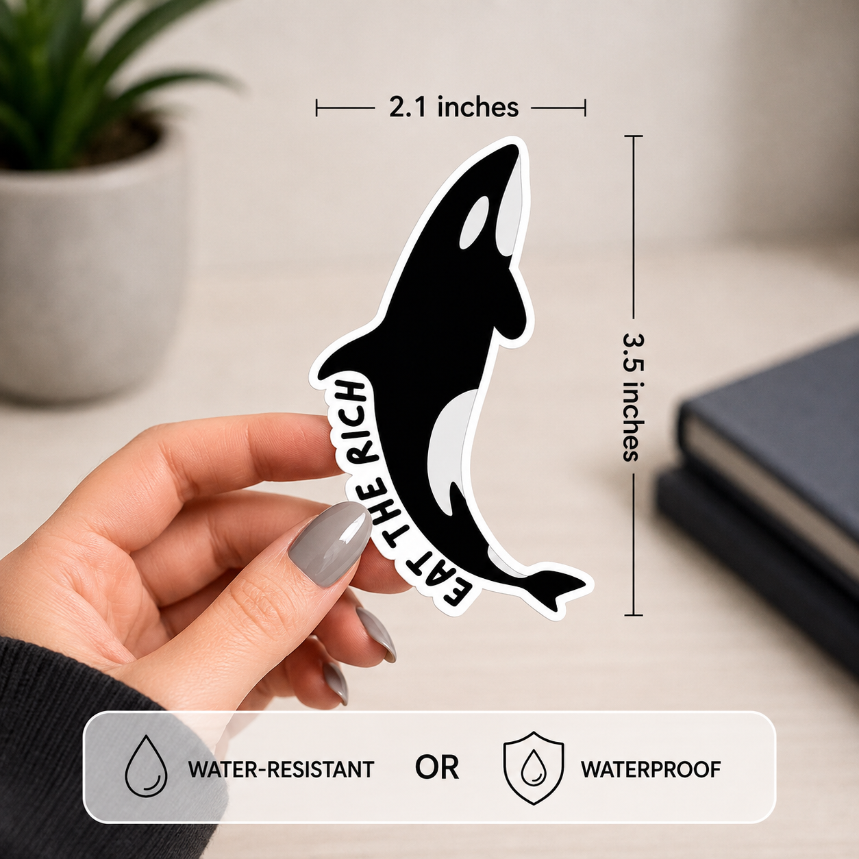A hand holds a black and white orca-shaped sticker with the text 'EAT THE RICH' written vertically. The image includes dimension labels showing 2.1 inches by 3.5 inches tall