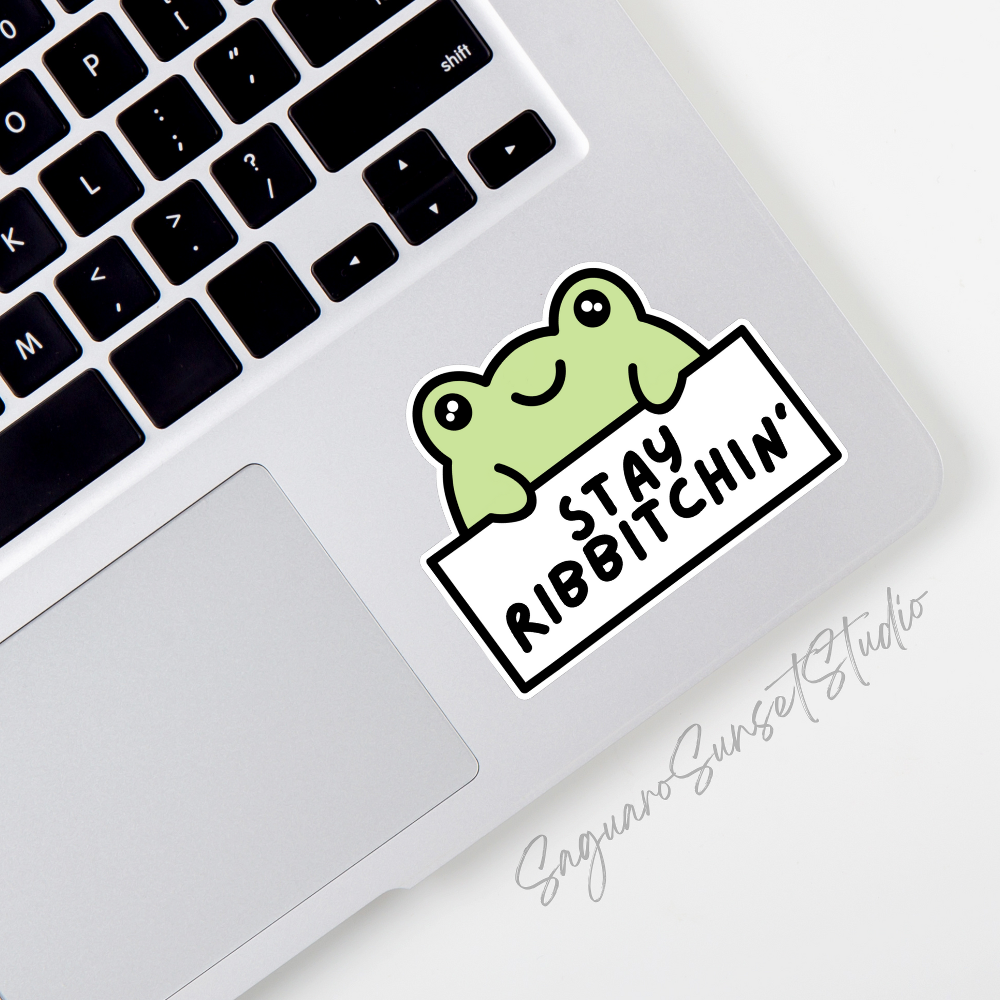 A sticker featuring a green frog holding a white sign with the text 'Stay Ribbitchin' on the bottom corner of a laptop.