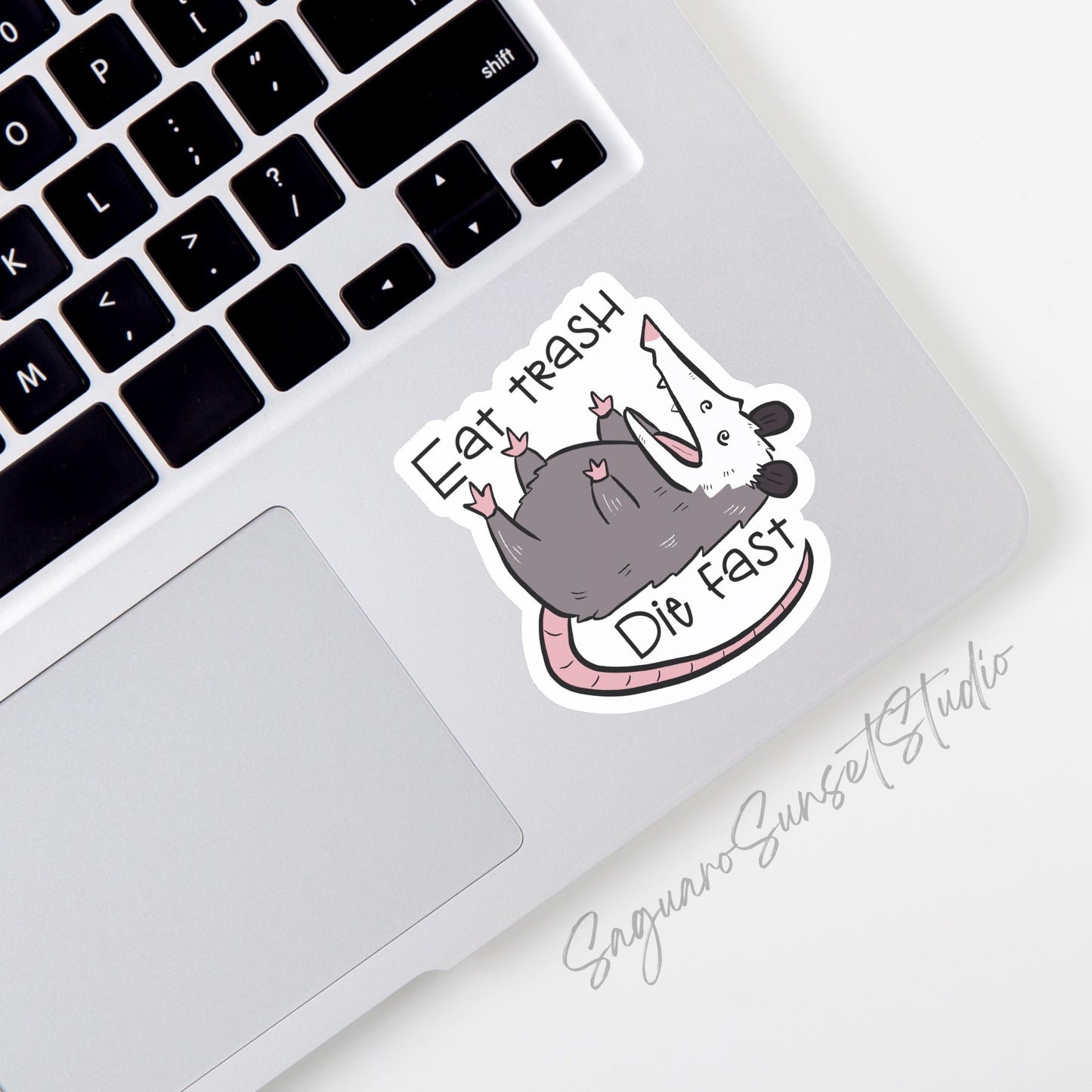 A vinyl sticker featuring the phrase "Eat Trash Die Fast" with an illustration of a possum lying on its back