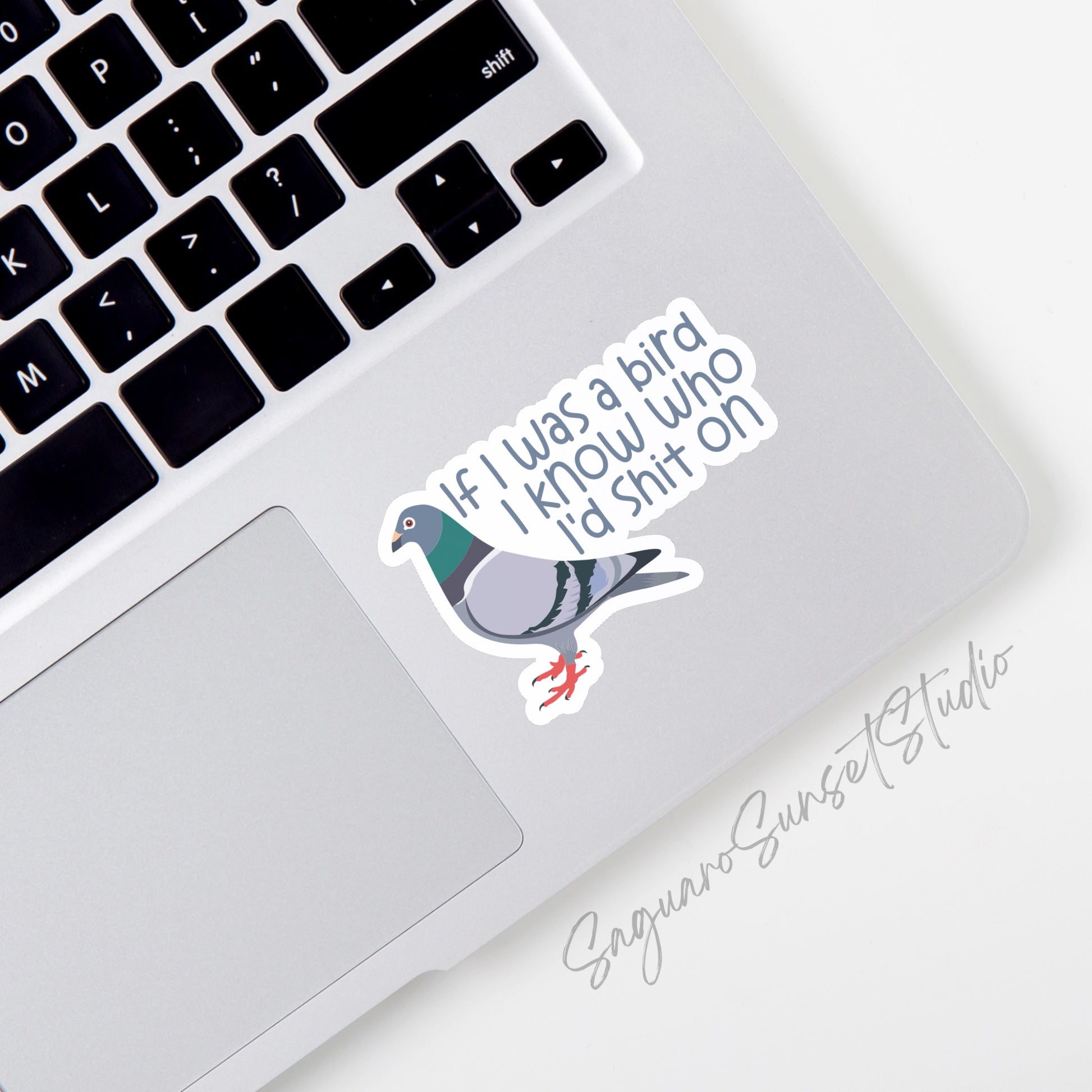 Sticker with the text "If I Was a Bird I Know Who I'd Shit On" featuring an illustration of a pigeon. Perfect for bird lovers and nature enthusiasts