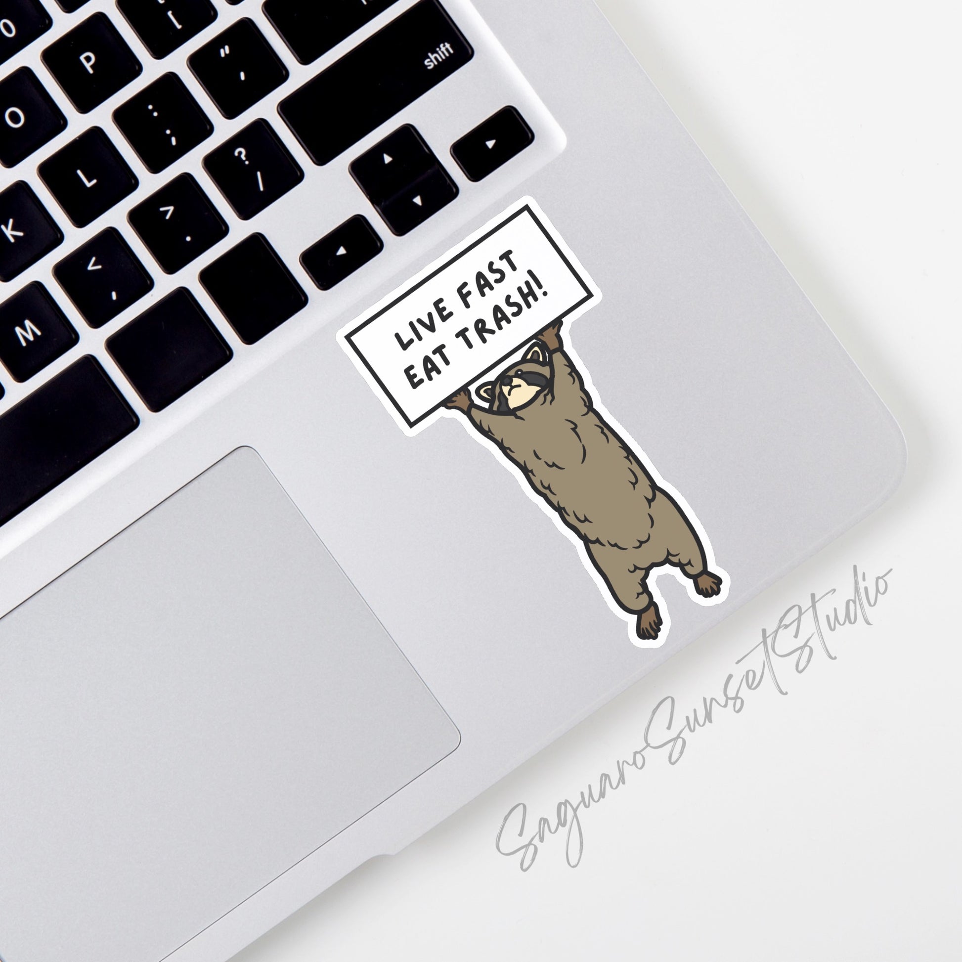 Sticker featuring an illustration of a raccoon holding a sign with the text "Live Fast Eat Trash!"