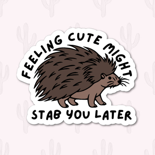 A vinyl sticker featuring the phrase "Feeling Cute Might Stab You Later" with an illustration of a porcupine