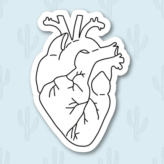 A Sticker of a white anatomical heart with black veins.