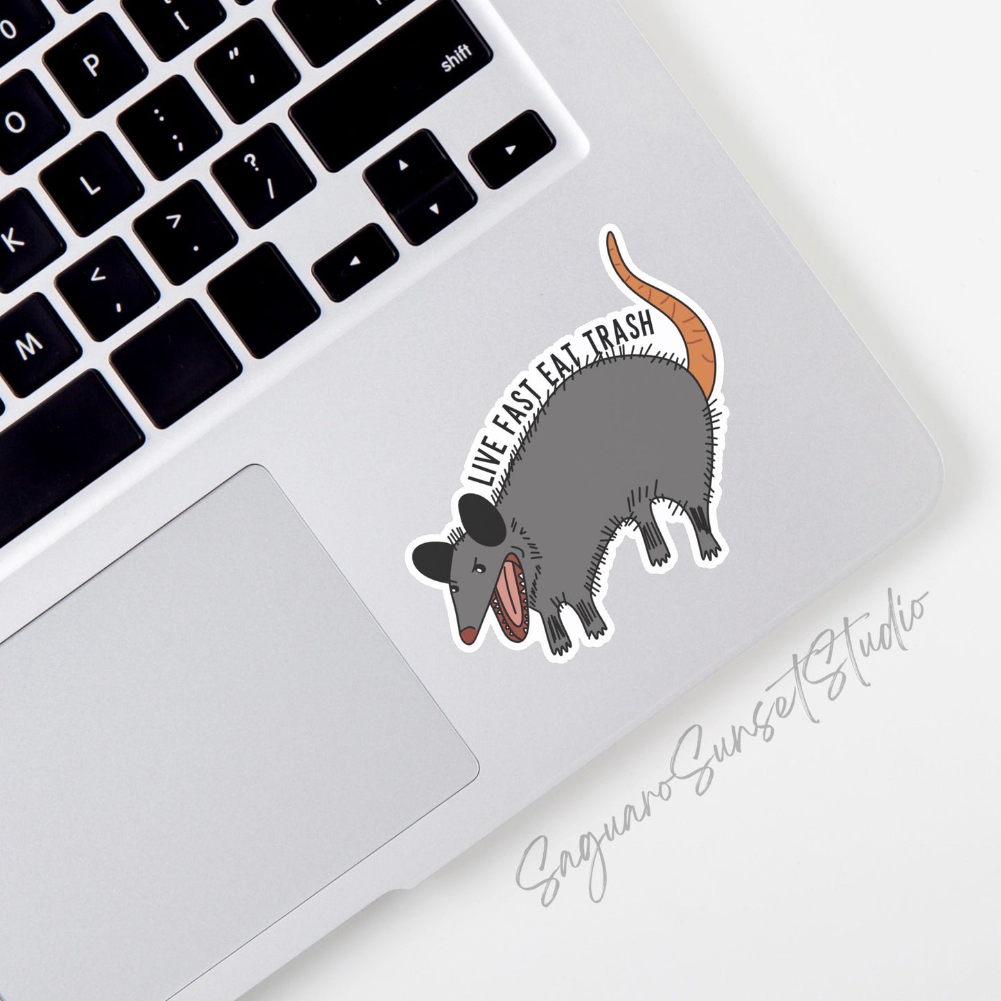 Sticker featuring an illustration of a possum with the text "Live Fast Eat Trash"